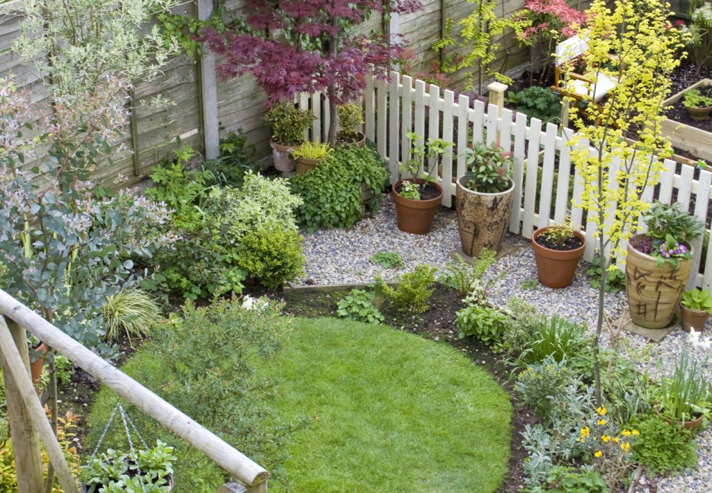 budget small backyard ideas