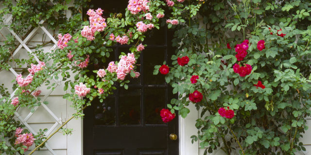 Front Garden Ideas front garden design ideas Related Article Front Garden Ideas front garden path Related Article