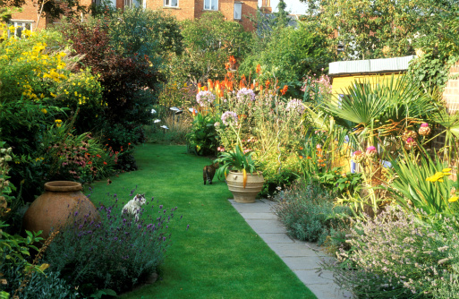 Garden Design Long Narrow Plot how to give your long and narrow garden the wow factor all year round Garden Design Long Narrow Plot how to give your long and narrow garden the wow factor all year round