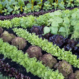 4 Garden Designs and Layouts - Photo Ideas to Suit Your Lifestyle