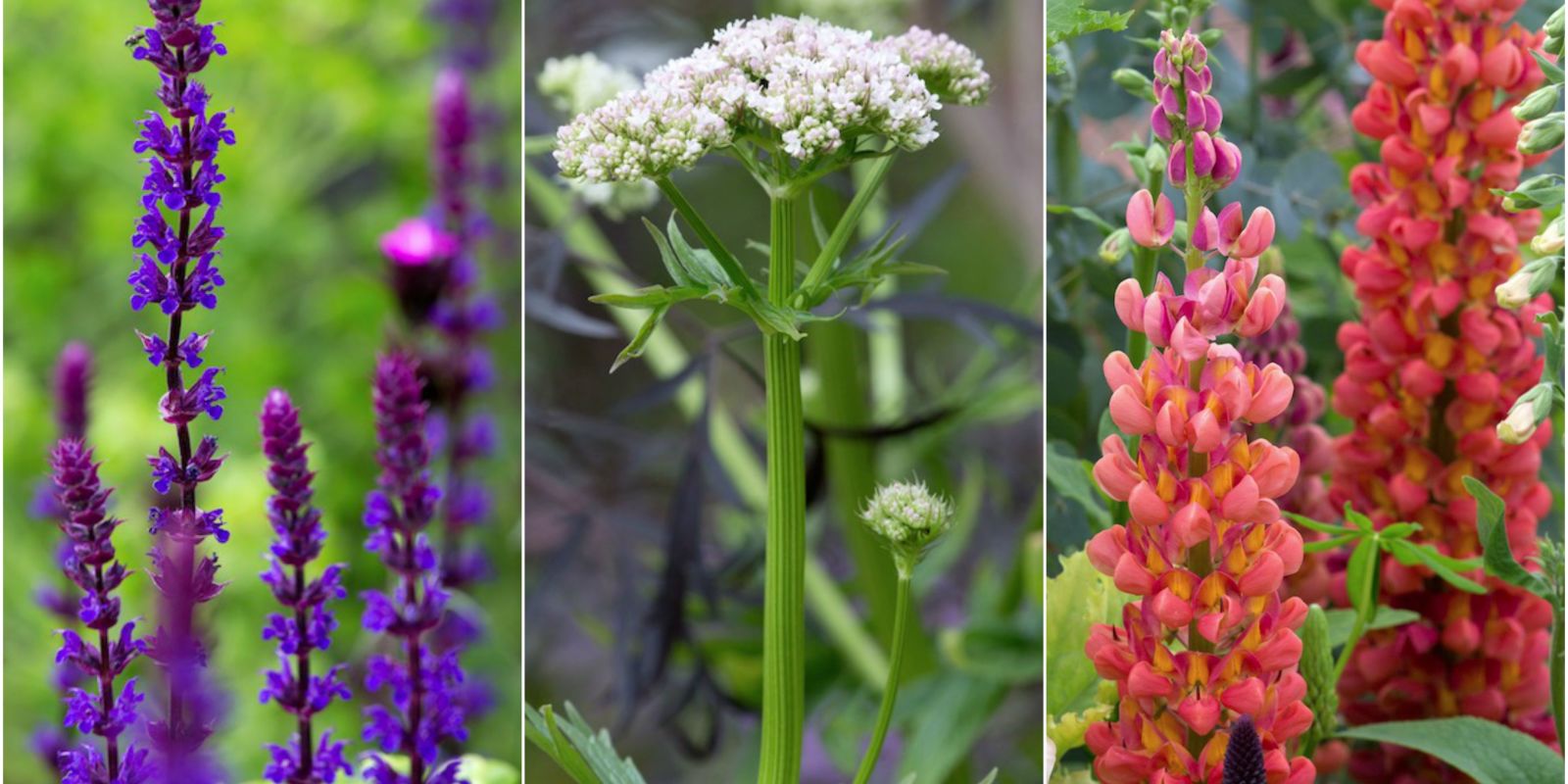 Garden Design Trends 2017 3 garden design trends for 2017 - summer trends Garden Design Trends 2017 3 garden design trends for 2017 - summer trends