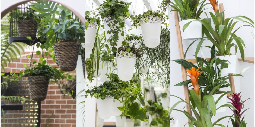 Garden Ideas Ikea 5 easy indoor garden ideas - small space ideas Garden Ideas Ikea 5 easy indoor garden ideas - small space ideas