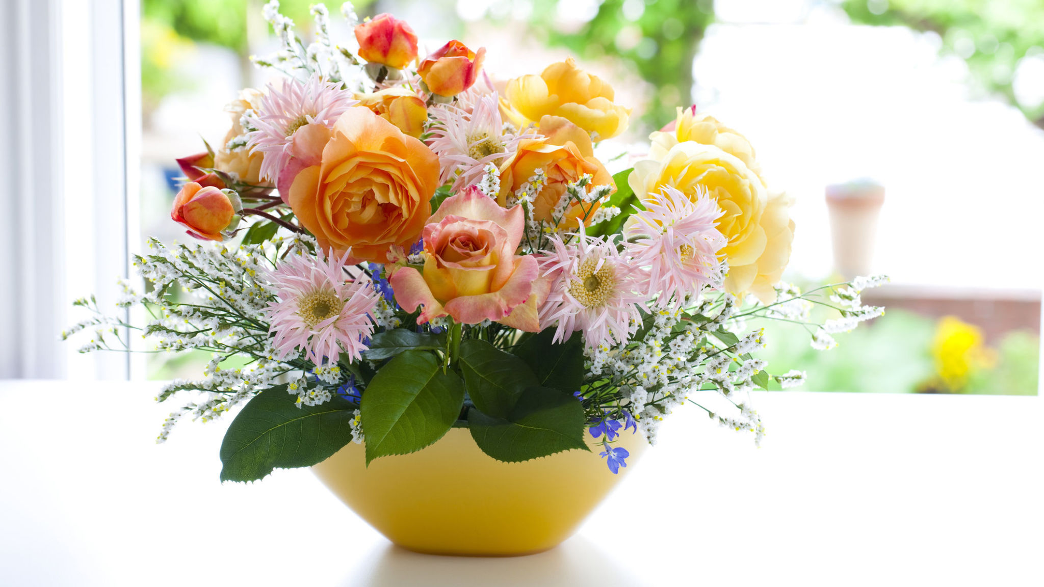 Morrisons Flower Of The Week Best Flower Site