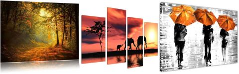 10 fabulous feature wall ideas