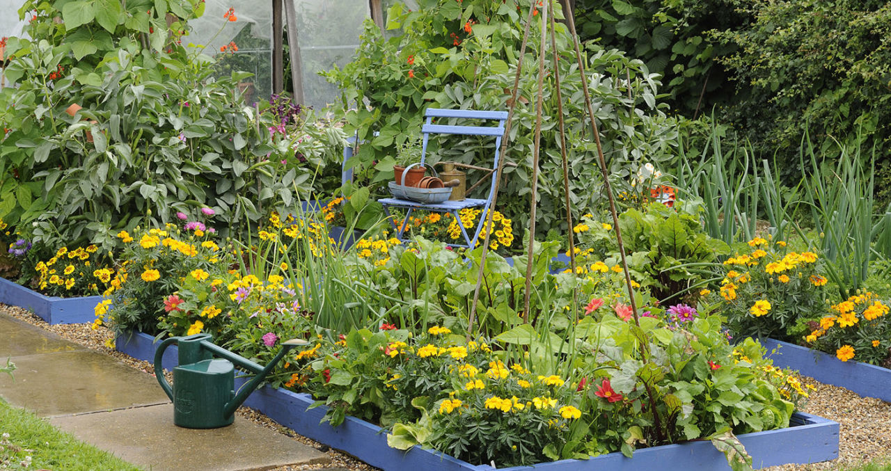 garden-designs-modern-cottage