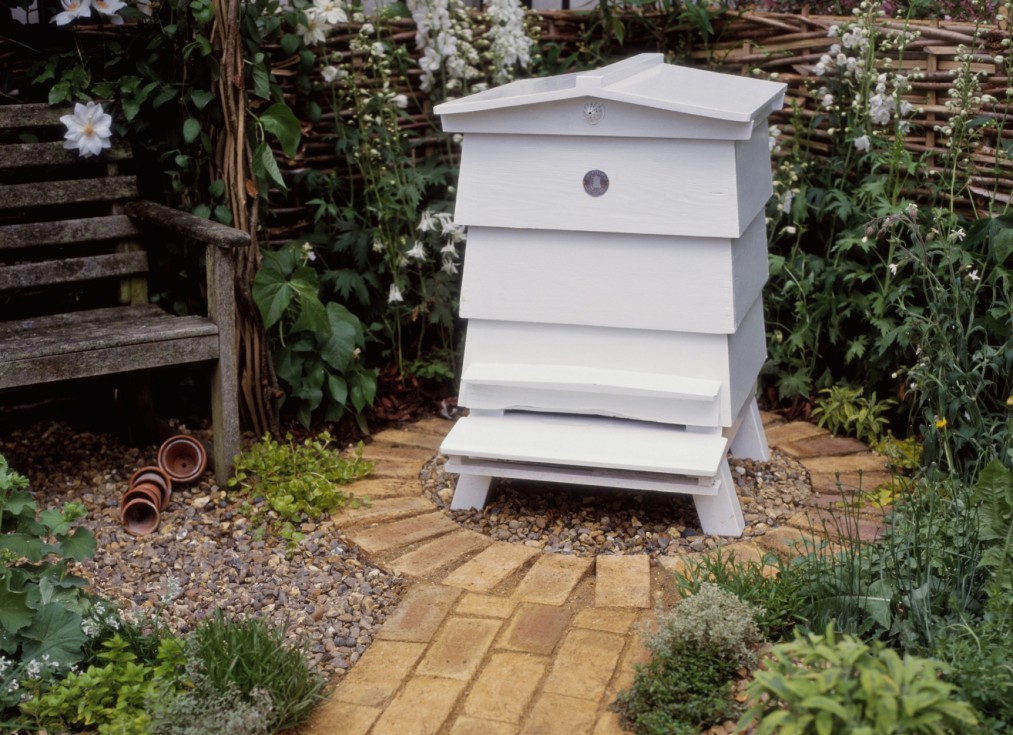 bees-beehive-garden